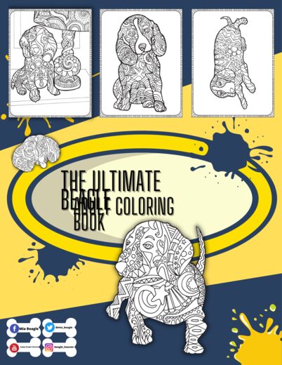 Beagle coloring page 12