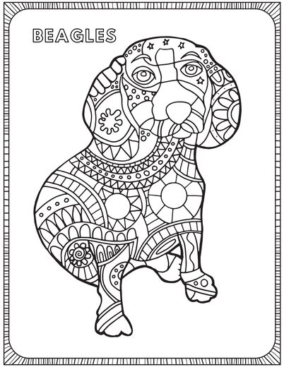 Beagle coloring page 9